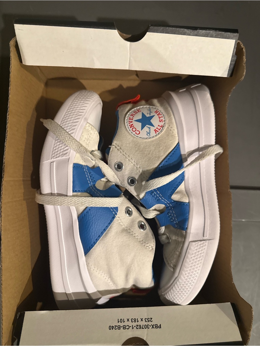 Converse Kids White and Blue Chuck Taylor Low Top Sneaker